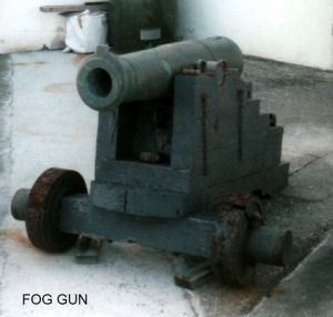 Fog Gun